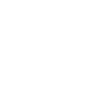 Ipipgo