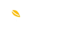 MangoProxy