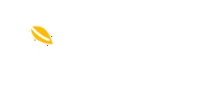 MangoProxy