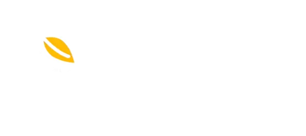 MangoProxy